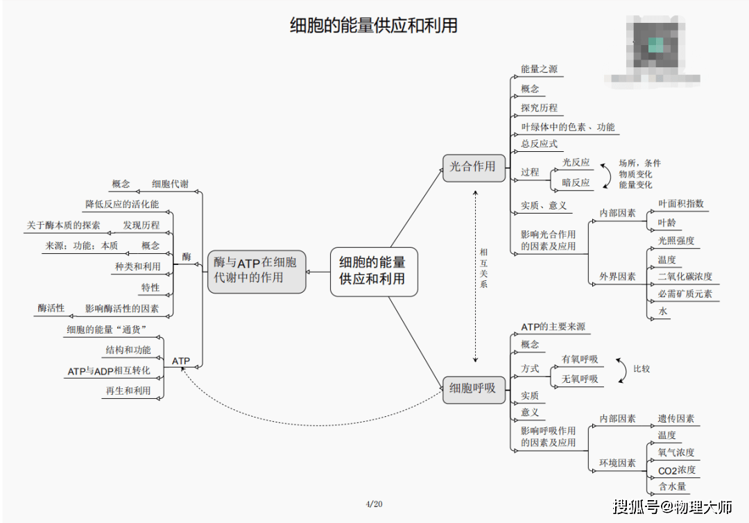 神算刘伯温一肖三期必开，揭秘神秘预言与命运轮回的奥秘，刘伯温神秘预言揭秘，生肖三期必开与命运轮回的奥秘探索