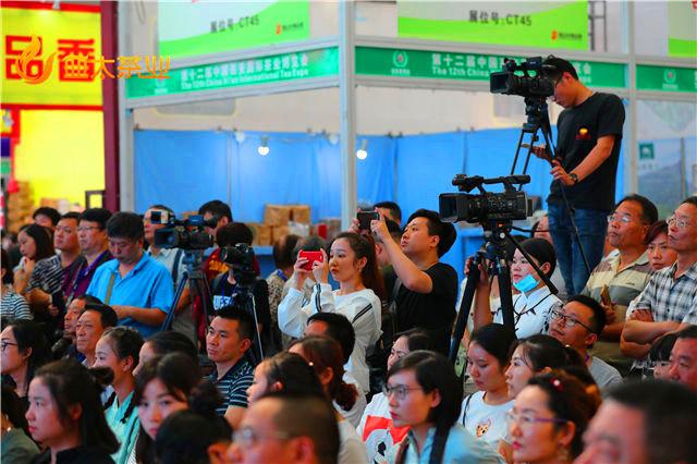 新华网、凤凰网、今日头条与腾讯新闻，新闻传播的多元力量，四大新闻巨头齐聚，新华网、凤凰网、今日头条与腾讯新闻的多元传播力量