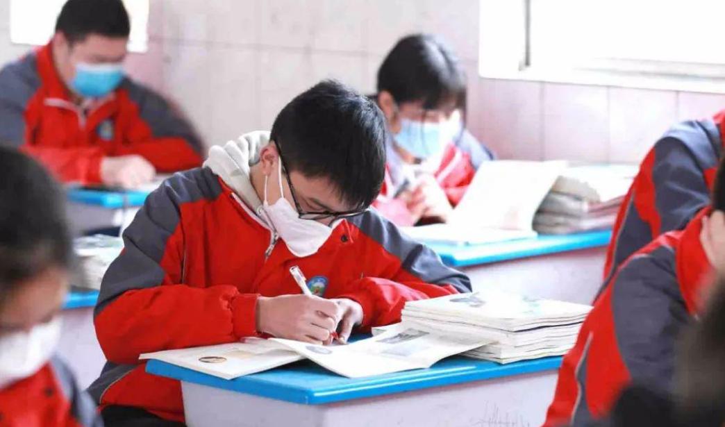 发布通知的重要性及其实际应用，通知发布的重要性及其实际应用探讨