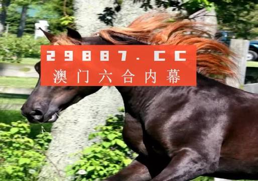 澳门夜明珠八百图库开奖最快