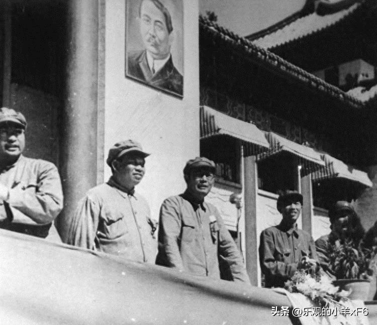 海南岛领导的人民武装——海南纵队，海南纵队，海南岛的人民武装力量
