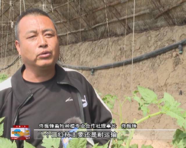 项士锋，一位引领时代的杰出人物，项士锋，时代杰出人物的引领之光