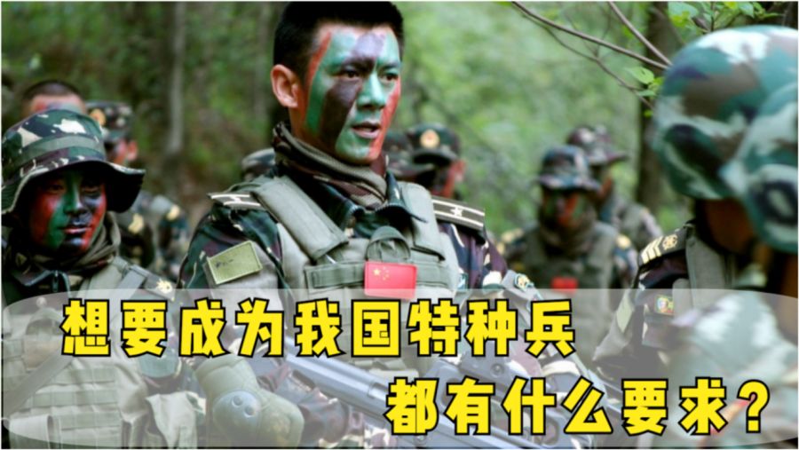 中国特种兵招收条件深度解析，中国特种兵招收条件的深度剖析