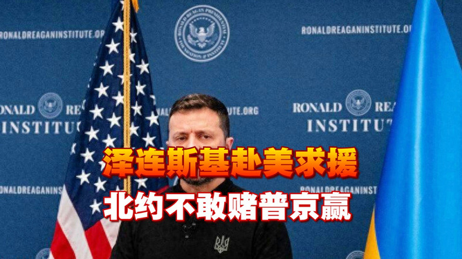 曝北约派兵护送泽连斯基赴美，国际安全局势下的特殊行动，北约护航泽连斯基赴美国，国际安全局势下的特殊行动