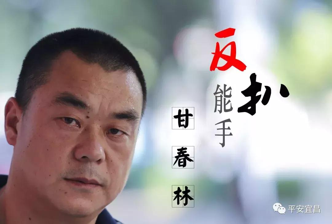 猛虎突击队特警战队，守护社会的精英力量，猛虎突击队特警战队，社会守护的精英力量