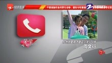 今天高清视频免费播放，在线观看的新体验，高清视频免费畅享，在线观看新体验