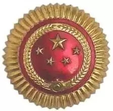 武警部队更换帽徽，标志升级与军威焕发的双重意义，武警部队帽徽升级，标志焕新与军威提升的双重意义