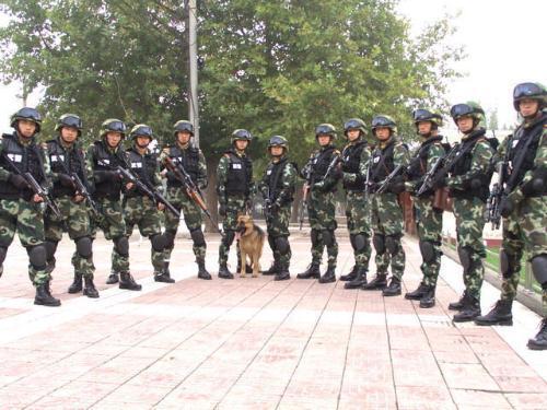 中国人民警察武装部队警官学院，培养新时代警察精英的摇篮，中国人民警察武装部队警官学院，培育新时代警察精英的摇篮
