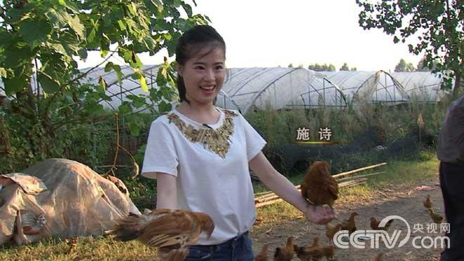 中央七台农业致富经，探索现代农业的财富之路，中央七台农业致富经，现代农业财富探索之路