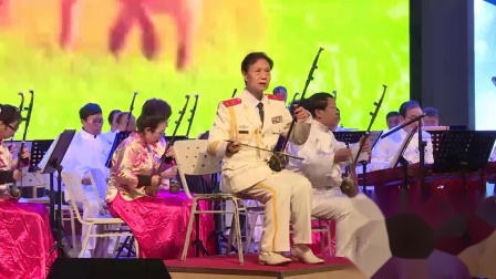 二胡独奏军歌，传统与现代的交融之美，二胡独奏军歌，传统与现代的完美交融之韵