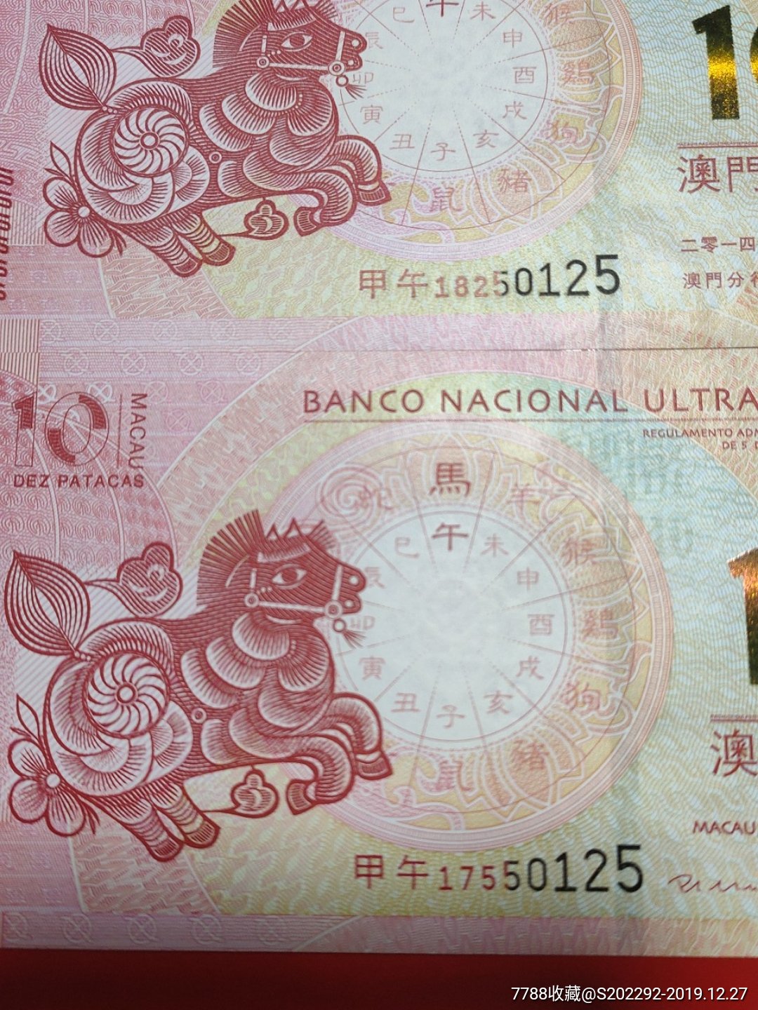 澳门王中王,一肖一马的传奇故事,澳门王中王,一肖一马的神秘传奇故事