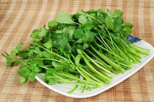 动态分析/解析