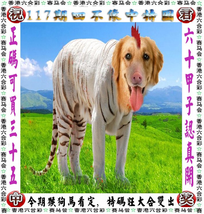 王中王四不像一肖宝典，揭秘彩票预测的神秘面纱，揭秘彩票预测神秘面纱，王中王四不像一肖宝典解析