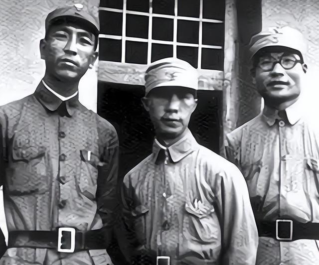 海南岛战役成功经验深度解析，海南岛战役成功经验深度剖析
