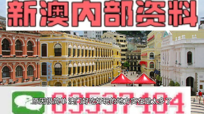 澳门资料免费长期公开，历史、文化、旅游与社会的共享财富，澳门资料免费公开，历史、文化、旅游与社会共享宝库