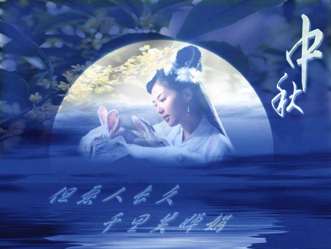 天涯论坛与天涯诗会，网络文化的诗意交融，天涯论坛与天涯诗会，网络文化的诗意交汇