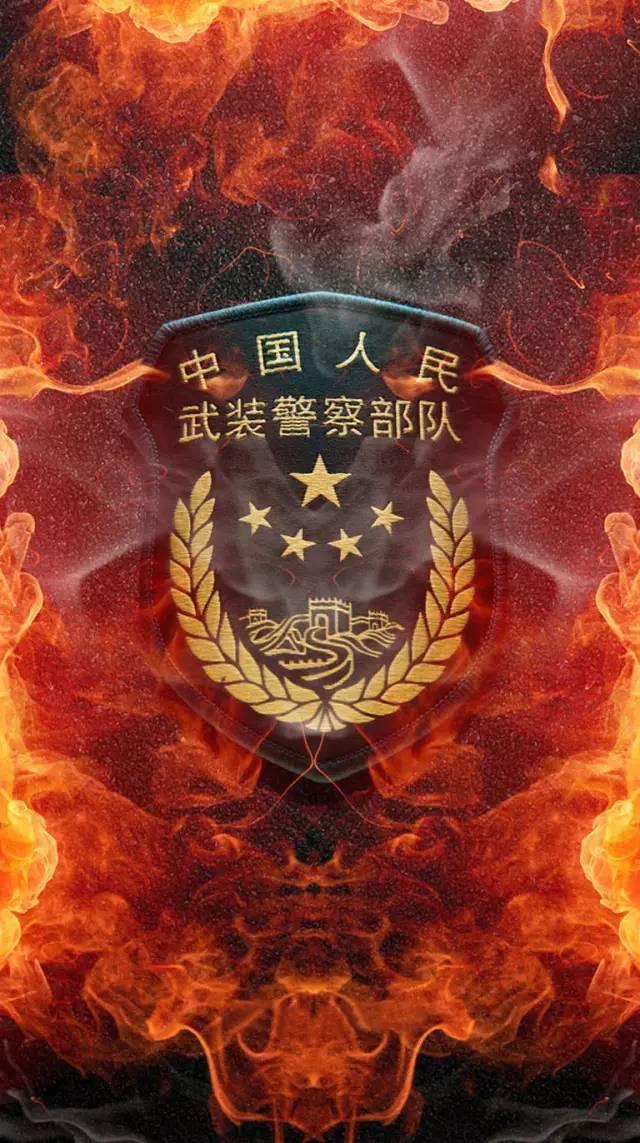 CCTV7中国武警节目，展现武警力量的风采与担当，CCTV7中国武警节目，展现武警力量的风采与担当，彰显时代担当