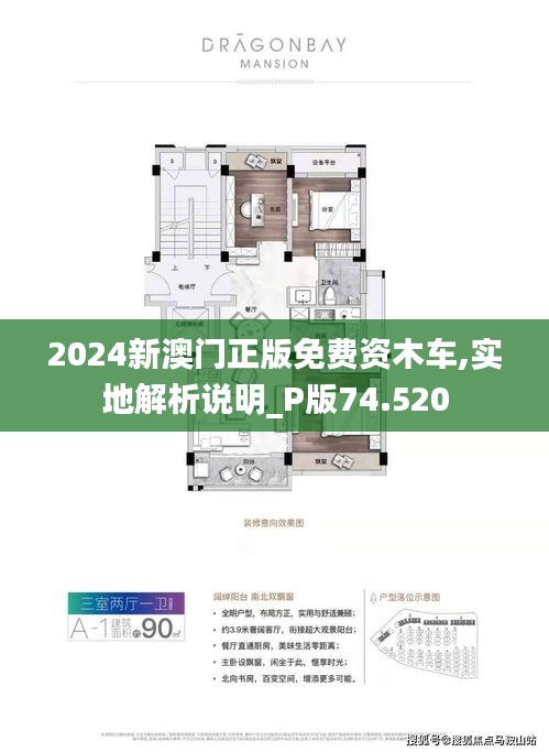 2025新澳门正版免费资木车