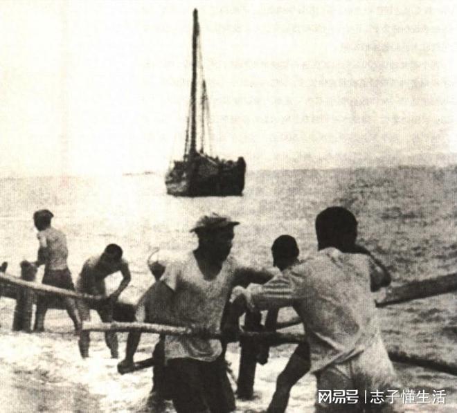 海南岛战役胜利感悟，历史启示与时代价值，海南岛战役胜利的历史启示与时代价值感悟