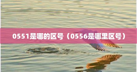 揭秘中国区号，探寻0551背后的地区电话代号之谜，探寻中国电话区号之谜，揭秘神秘的0551地区代码起源与含义