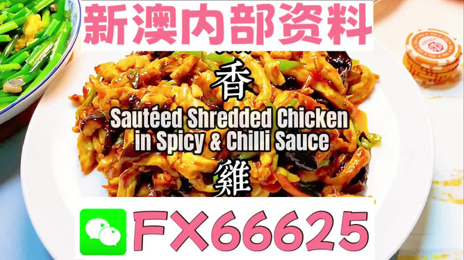 新奥资料免费精准网址