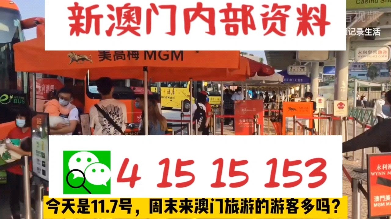 新澳门一肖一码中特，探索与解读，澳门一肖一码中特，解读与探索之路