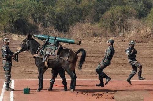 现代轻武器图片，揭示现代军事科技的魅力，现代轻武器图片展示，军事科技的魅力揭秘