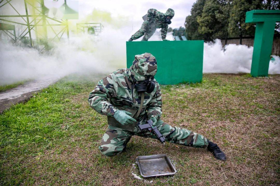 兵种战支的意思，深度解析军事领域的特殊术语，深度解析军事领域术语，兵种战支的含义与解析