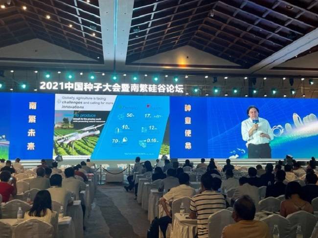 大中华网论坛，汇聚多元声音，共筑网络新生态，大中华网论坛，多元声音汇聚，共筑网络新生态