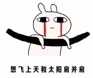 今天干什么，探索生活的多样性与丰富性，探索生活多彩面貌，每日新体验之旅