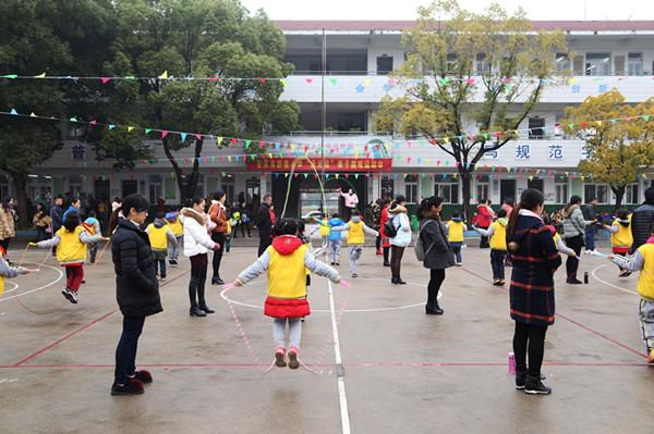 蛟龙系列，探索深海的无尽奥秘，蛟龙系列，深海奥秘的探索之旅