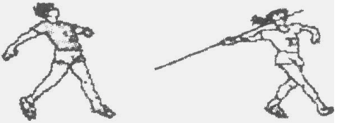 红旗-12与标枪,两种防空系统的深度对比,红旗-12与标枪防空系统深度对比分析