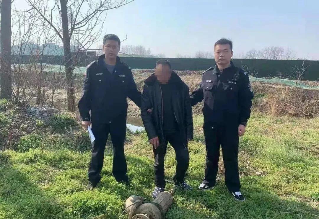 深度解析与评论