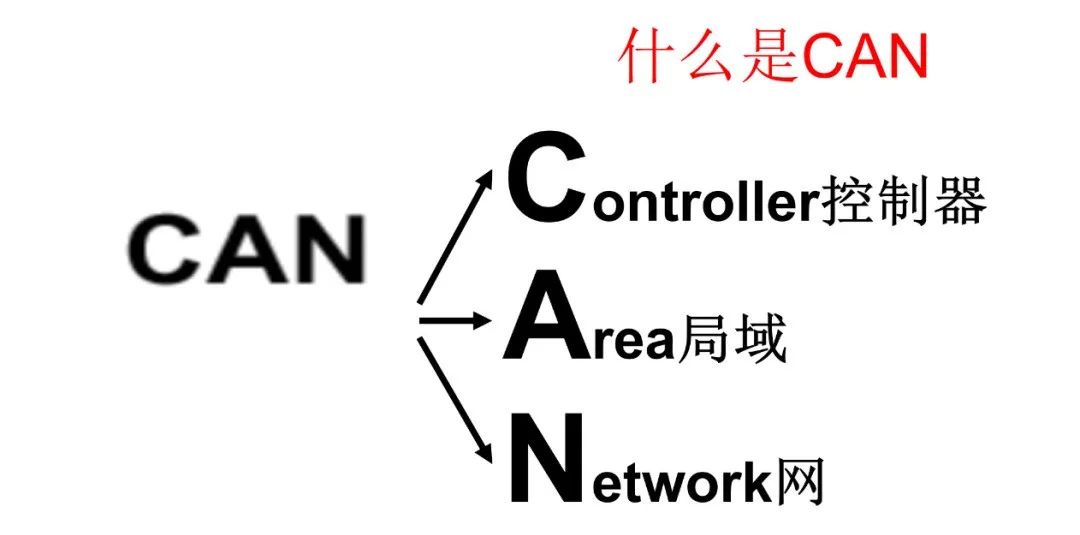 探索潜能，我们能做什么？，探索潜能，无限可能的挑战之旅