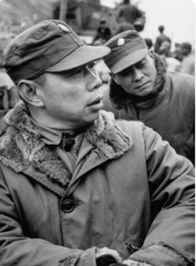 海南岛战役真实结局，历史的回顾与反思，海南岛战役真实结局揭秘，历史的回顾与反思