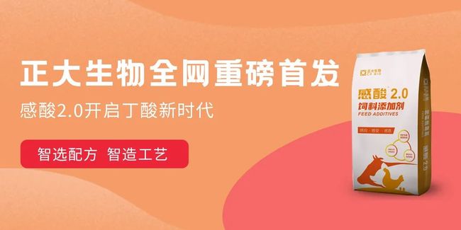 中国快报，聚焦十一月二日的重要新闻与事件，中国快报聚焦十一月二日重大新闻事件。