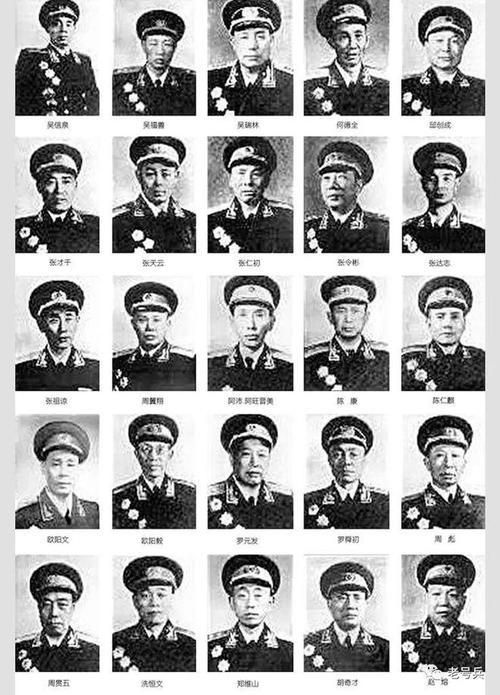 1955年开国上将名单及其历史贡献，1955年开国上将名单，他们的历史贡献与传奇