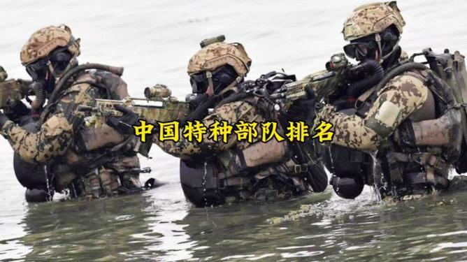 中国特种部队排名图片大全，荣耀与力量的象征，中国特种部队排名图片展示，荣耀与力量的象征