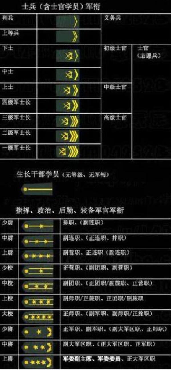 部队番号编制规律，部队番号编制规律揭秘