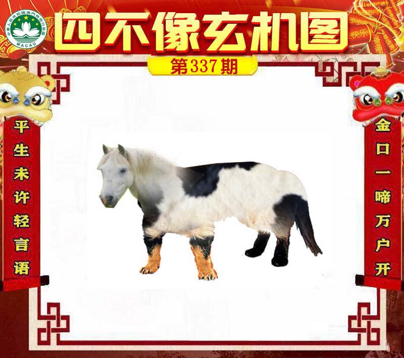 四不像一肖中特王中王——探寻神秘文化符号的魅力，探寻神秘文化符号的魅力，四不像一肖中特王中王揭秘