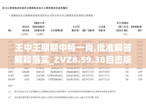 王中王一肖特一肖平，探索卓越之路与独特魅力，王中王一肖特一肖平，卓越之路与独特魅力的探索