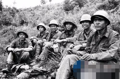 中越战争血战凉山电影，历史与艺术的融合，中越战争血战凉山电影，历史与艺术的交融之战