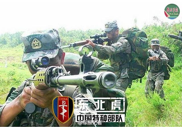 两年义务兵能否进入特种部队，解析与探讨，两年义务兵进入特种部队的可能性解析与探讨