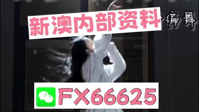 新奥长期免费资料大全，深度挖掘与探索，新奥长期免费资料深度挖掘与探索大全