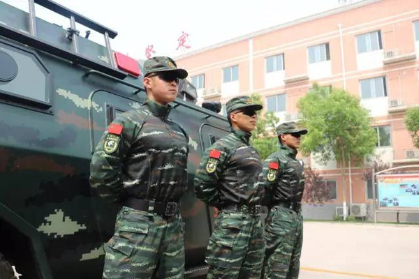 中国武警特战臂章，荣耀与使命的象征，中国武警特战臂章，荣耀与使命的徽章