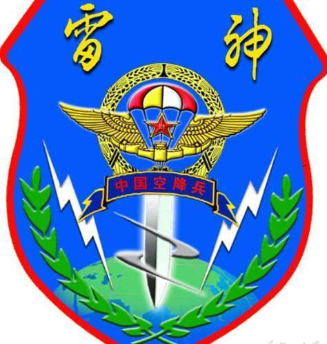 空降15军全套臂章，荣耀与使命的象征，空降15军全套臂章，荣耀使命的象征