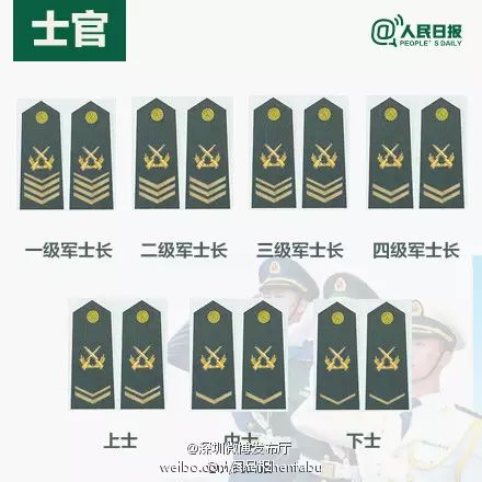胸标军衔图解，揭示军队等级与荣誉的象征，胸标军衔图解，揭示军队等级与荣誉的标识