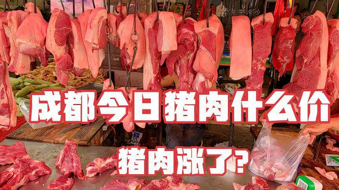 今日猪肉价格解析——多少钱一斤？，今日猪肉价格解析，一斤猪肉究竟多少钱？