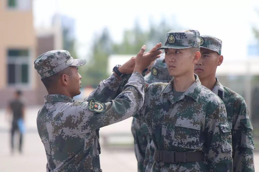 如何看待士官改革政策，士官改革政策解读与看法