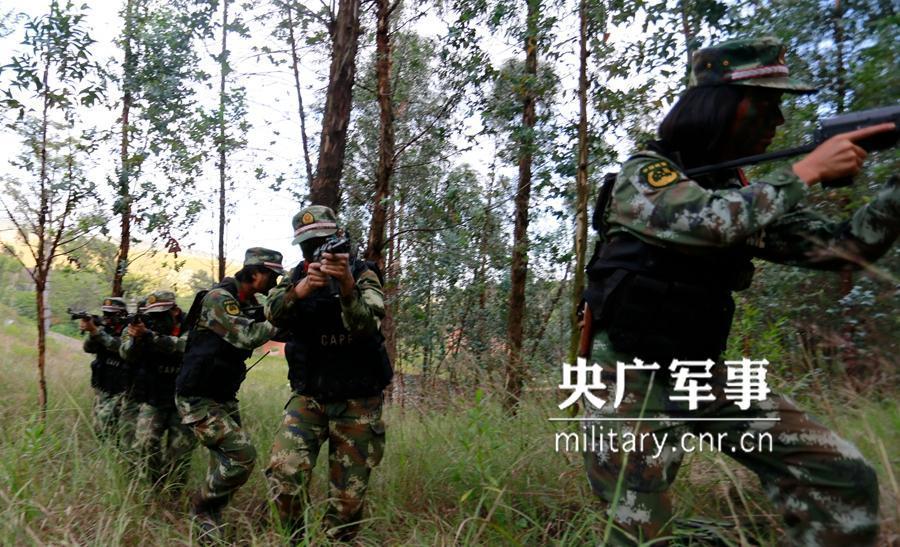 丛林女兵，免费观看国语版，揭示女性战斗力量之魅力，丛林女兵，揭示女性战斗力量魅力的国语版免费观看